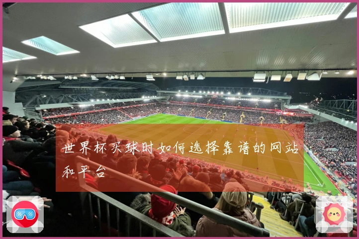 世界杯买球时如何选择靠谱的网站和平台
