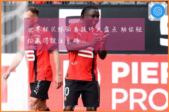 世界杯买球必看技巧大盘点 助你轻松赢得投注乐趣