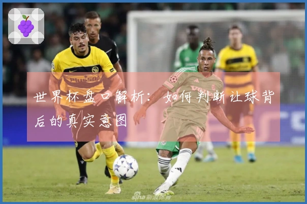 世界杯盘口解析：如何判断让球背后的真实意图