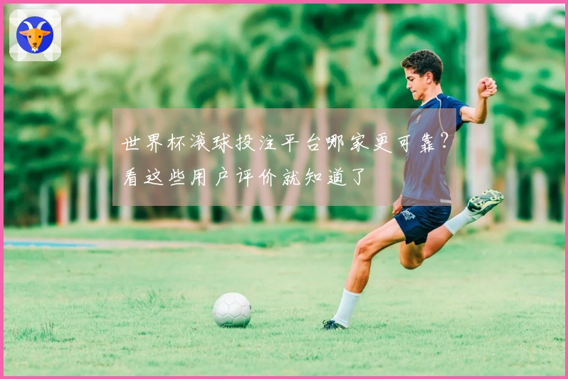 世界杯滚球投注平台哪家更可靠？看这些用户评价就知道了