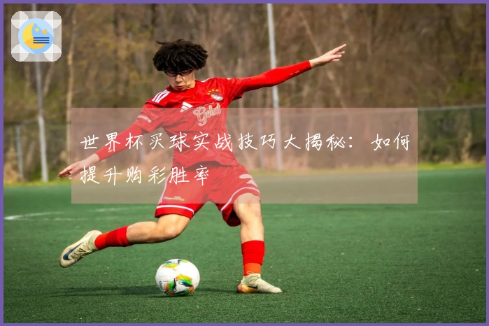世界杯买球实战技巧大揭秘：如何提升购彩胜率