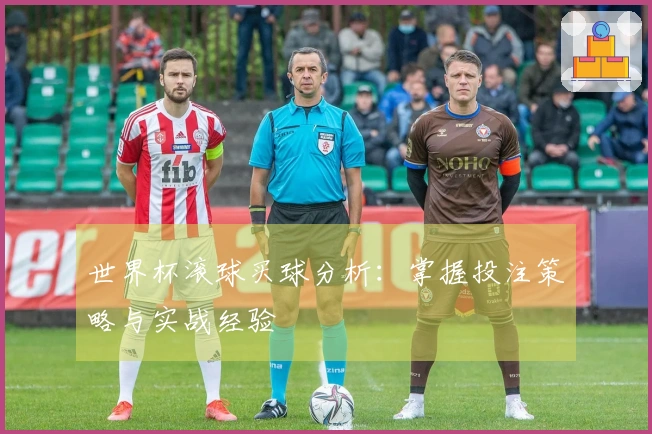 世界杯滚球买球分析：掌握投注策略与实战经验