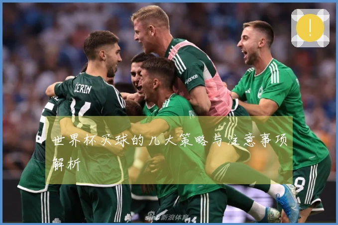 世界杯买球的几大策略与注意事项解析